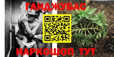 шишки Краснознаменск