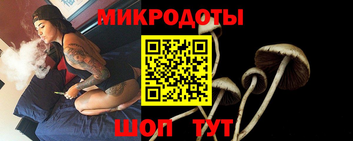 Киселёвск  Галлюциногенные грибы мицелий  Галлюциногенные грибы Psilocybe  Вход с VPN 
